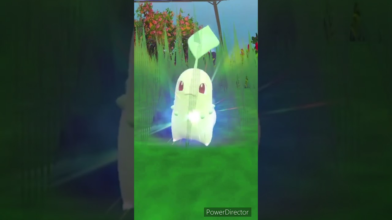 【ポケモンバイオレット】進化　チコリータ→ベイリーフ　#ポケモンバイオレット #ゲームリハビリ #切り抜き #shorts