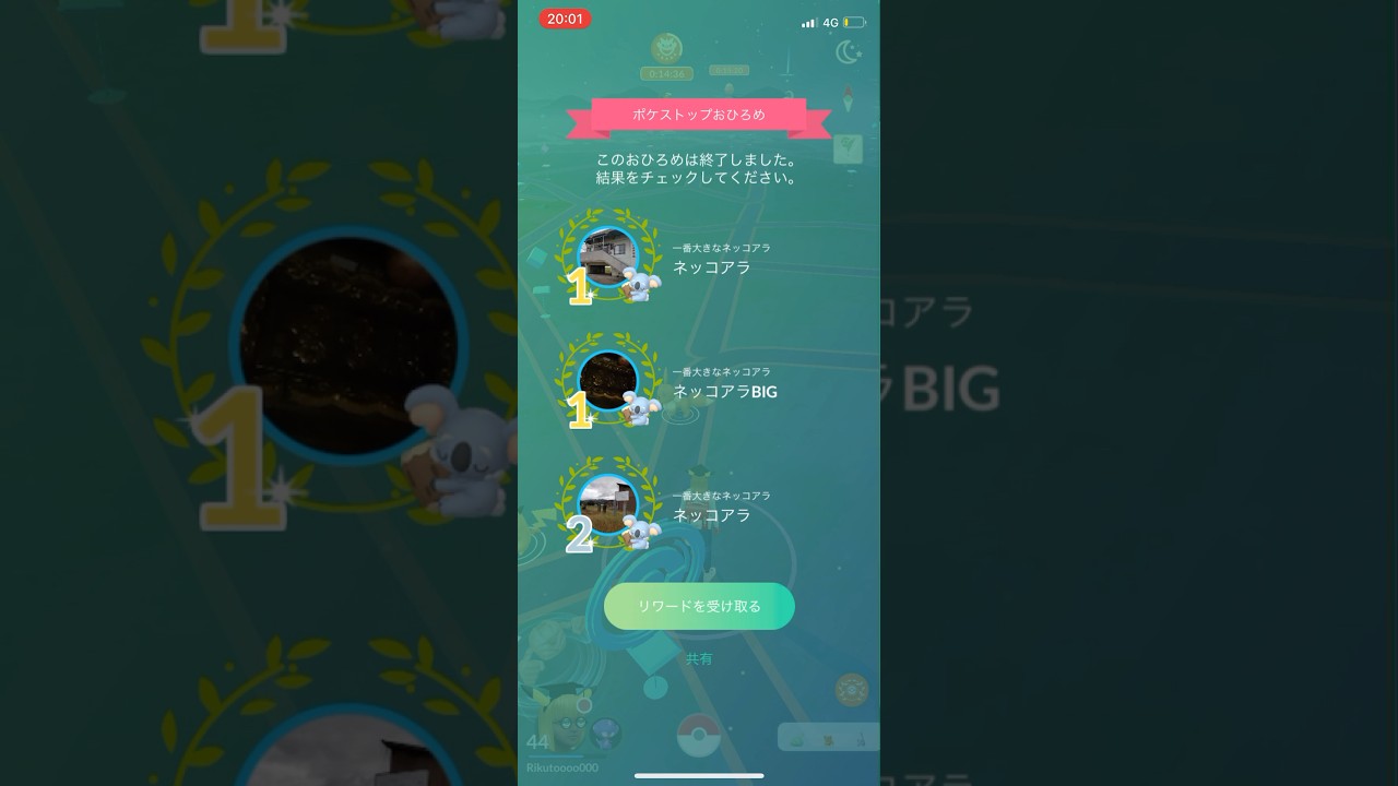 ポケモンGOネッコアラおひろめ1位1位2位リワード結果#ポケモン #ポケモンgo #pokemongo
