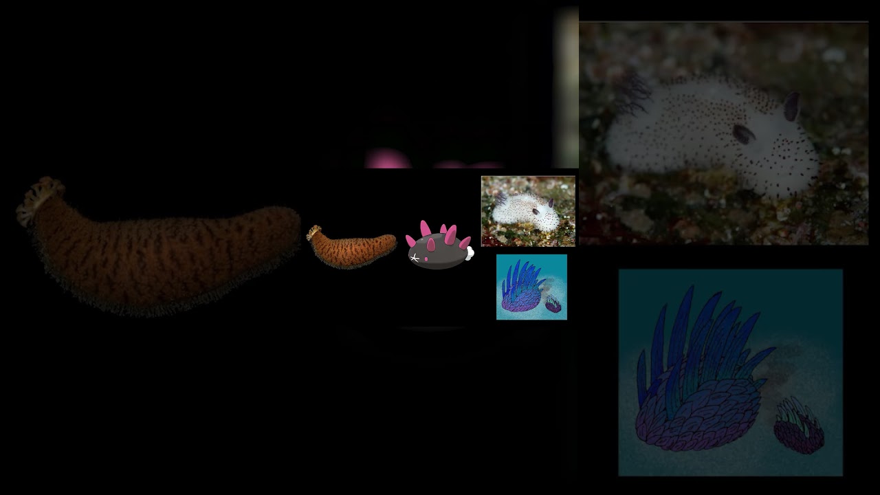 Gen 7 Pokemon and what they're based on (766-777) #pokemon #gen7 #animals #pokemonsunandmoon #3ds