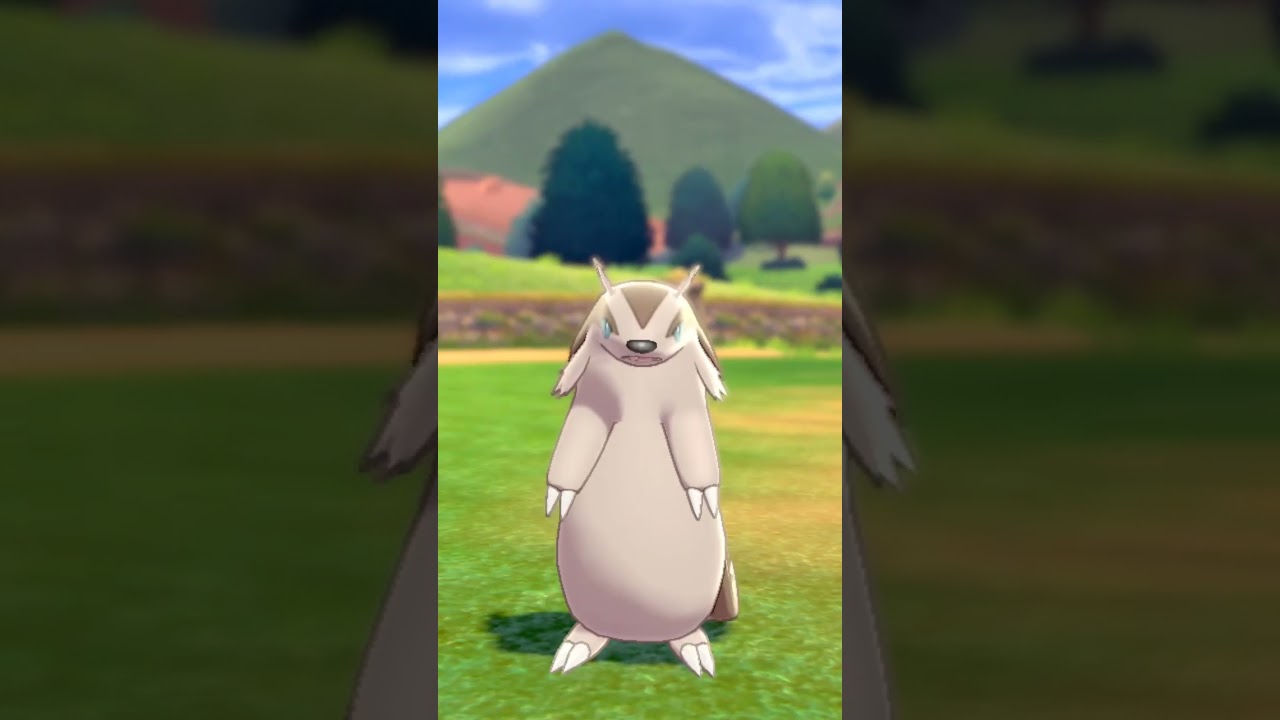 マッスグマ Linoone【ポケモン剣盾】