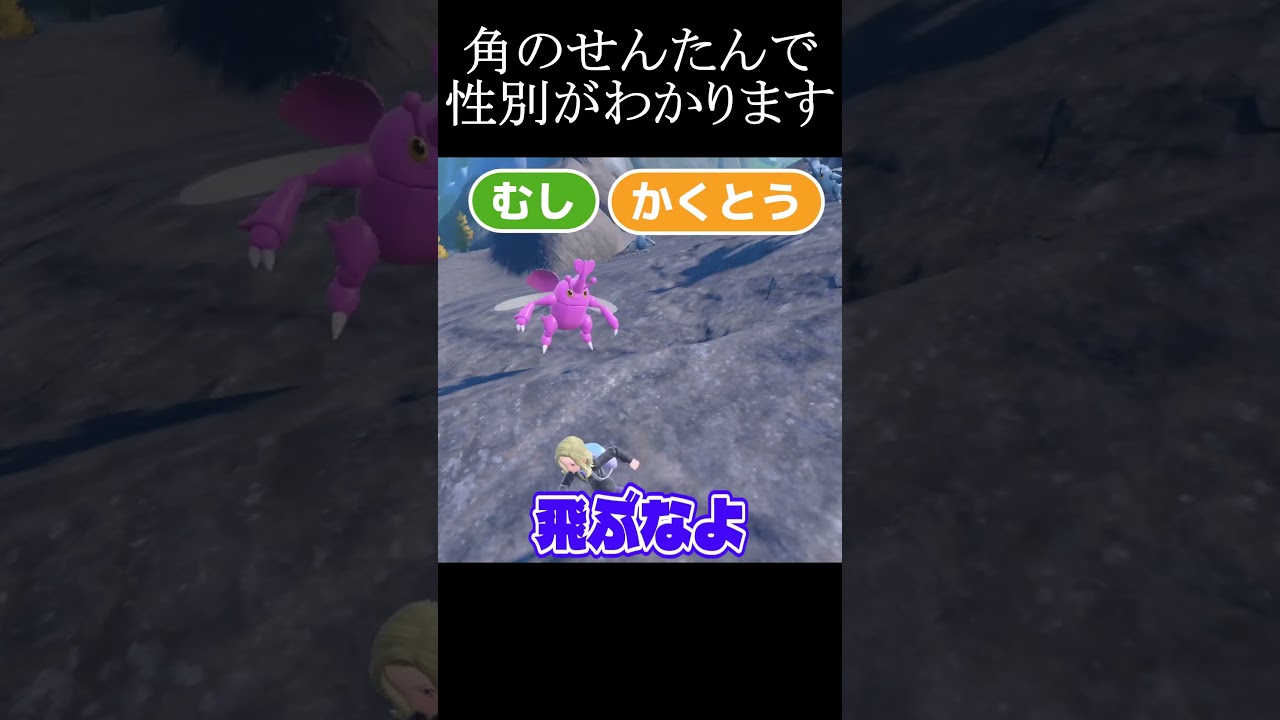 ヘラクロスの色違い＃ポケモン＃色違い＃ポケモンsv