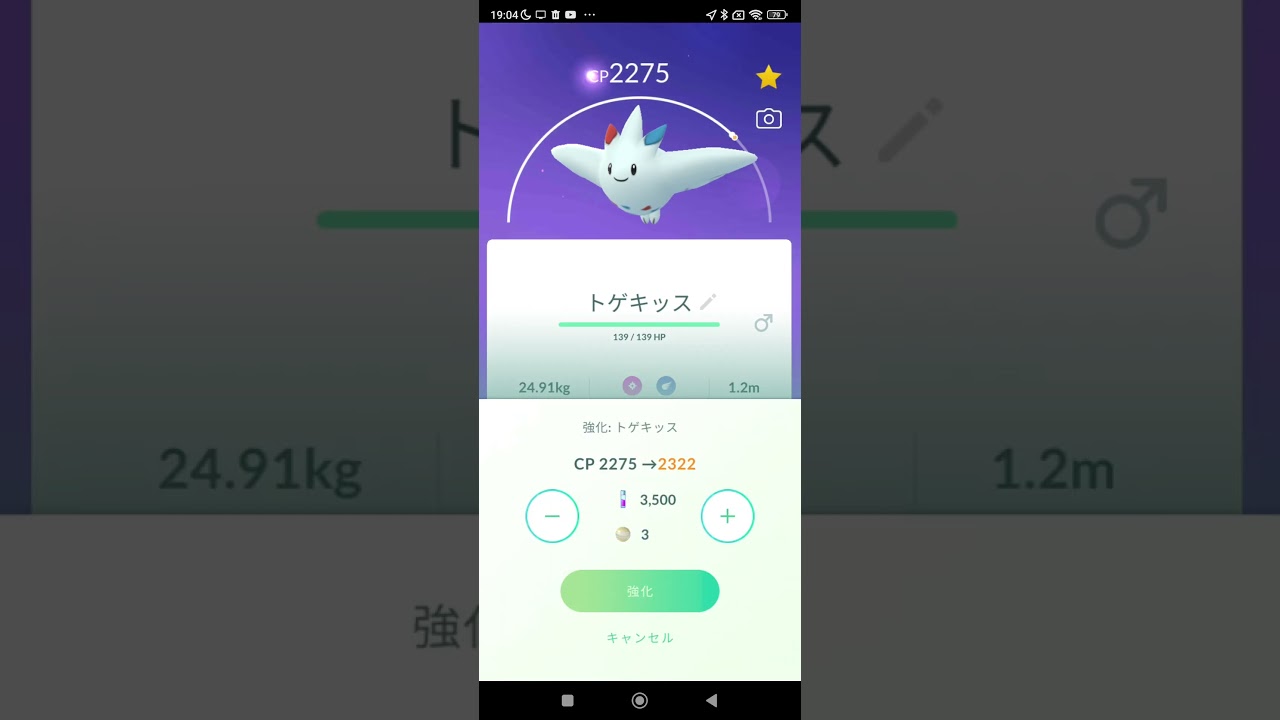 トゲキッスムキムキにしたぞー