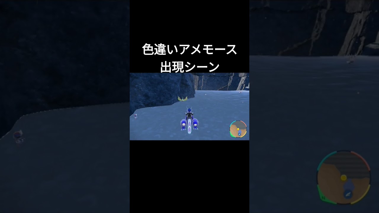 色違いアメモースに自然遭遇した【ポケモンＳＶ】