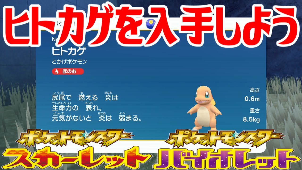 【ポケモンSV】ヒトカゲを入手しよう【ポケットモンスター スカーレット・バイオレット ゼロの秘宝 藍の円盤】Pocket Monsters