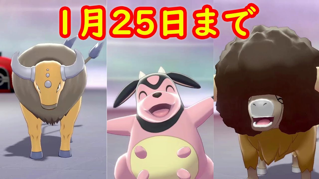 【ケンタロス ミルタンク バッフロン】期間限定 マックスレイドバトル（ポケモンの巣）に出現中 + キャンプで遊ぶ【ポケモン剣盾】