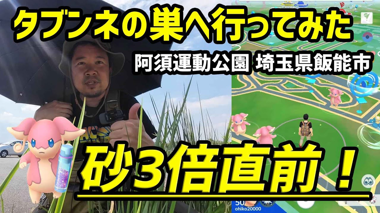 【ポケモンGO】砂3倍前のタブンネの巣調査 in 阿須運動公園（埼玉県飯能市）