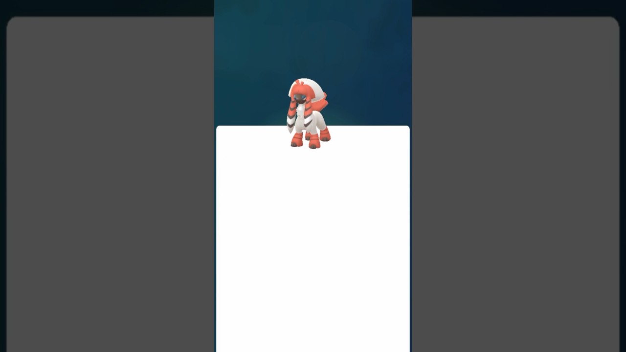 【 ポケモンGO 】 トリミアン →すがたをかえる カブキカット ！日本限定？【 うさぴよの巣 】#furfrou #kabukicut #pokemongo #pokemon #ポケモン