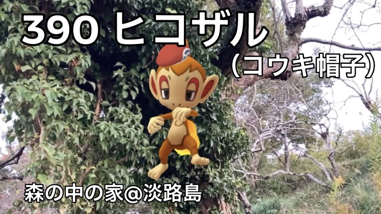 【ポケGO動くポケモンずかん】390 ヒコザル（コウキ帽子）｜Chimchar｜AR動画｜PoKeMoN GO AR【ポケモンGO】