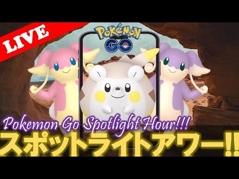 【🔴LIVE】スポライ: タブンネの巣でトゲデマル量発生!! 「✨色違い&星の砂大量ゲットだぜ!!✨」【スポットライトアワー】【ポケモンGO】