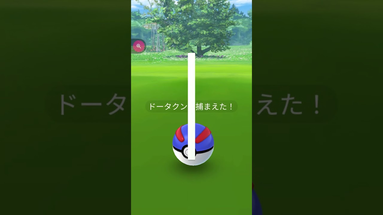 #shorts◇野性→野生のドータクン　また野生を野性と間違えていました。捕獲にかなり手こずったのでカットしました#383