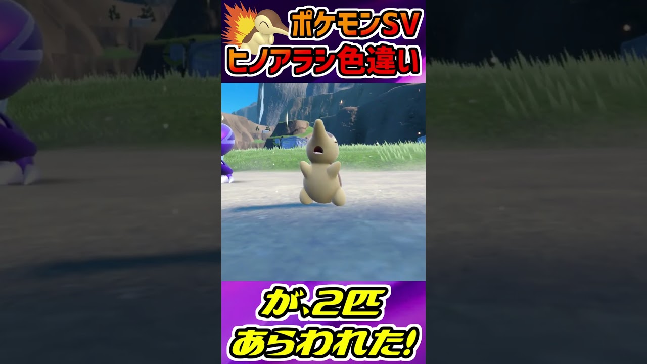 あっ！色違いのヒノアラシが２匹飛び出してきた！【ポケモンSV】#shorts
