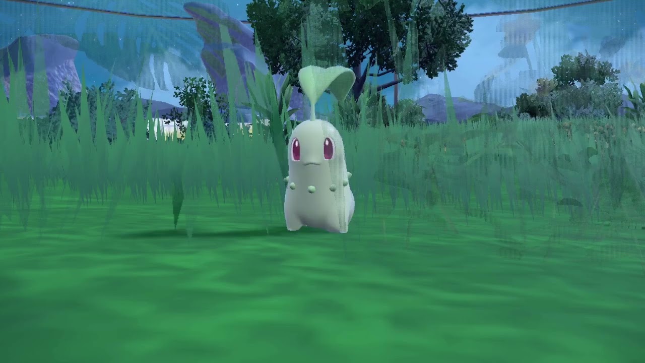 【ポケモンSV】【藍の円盤】チコリータ進化