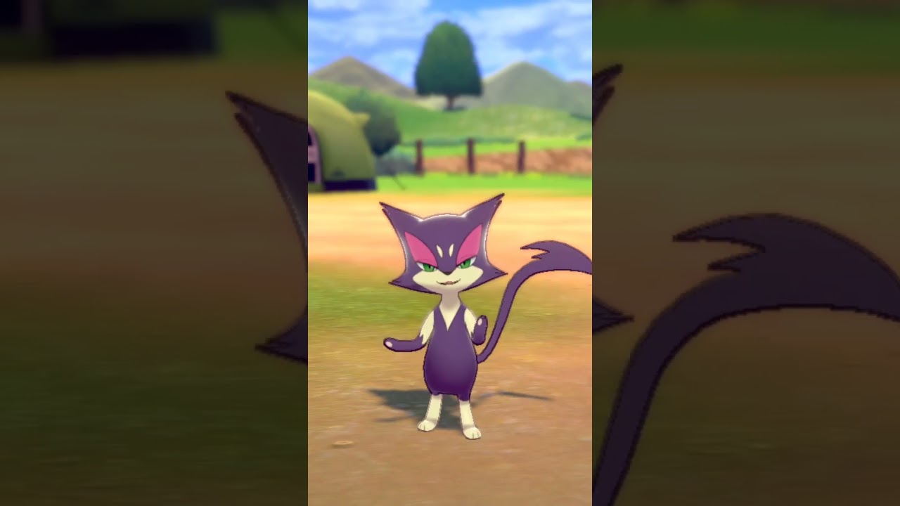 チョロネコ Purrloin【ポケモン剣盾】