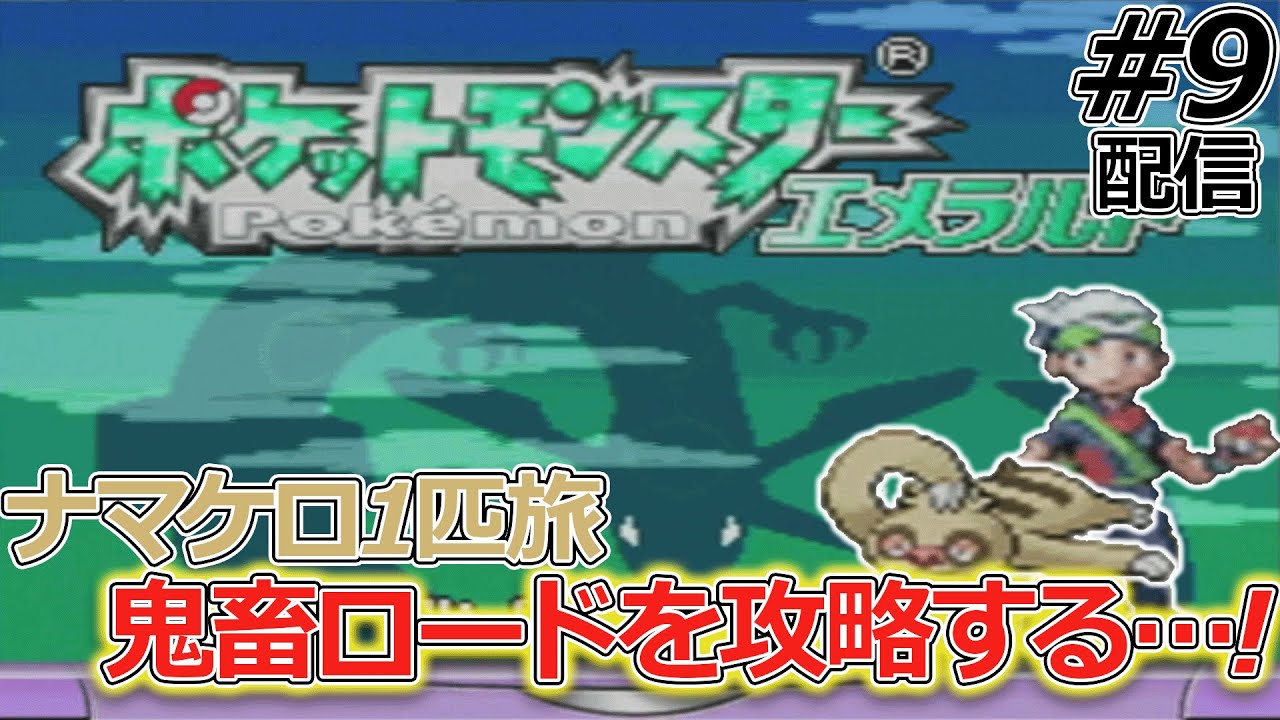 【ナマケロ1匹縛り】2ターンに1回しか動けないナマケロ1匹でエメラルドストーリークリアできるのか確かめる配信#9【ポケモンエメラルド】