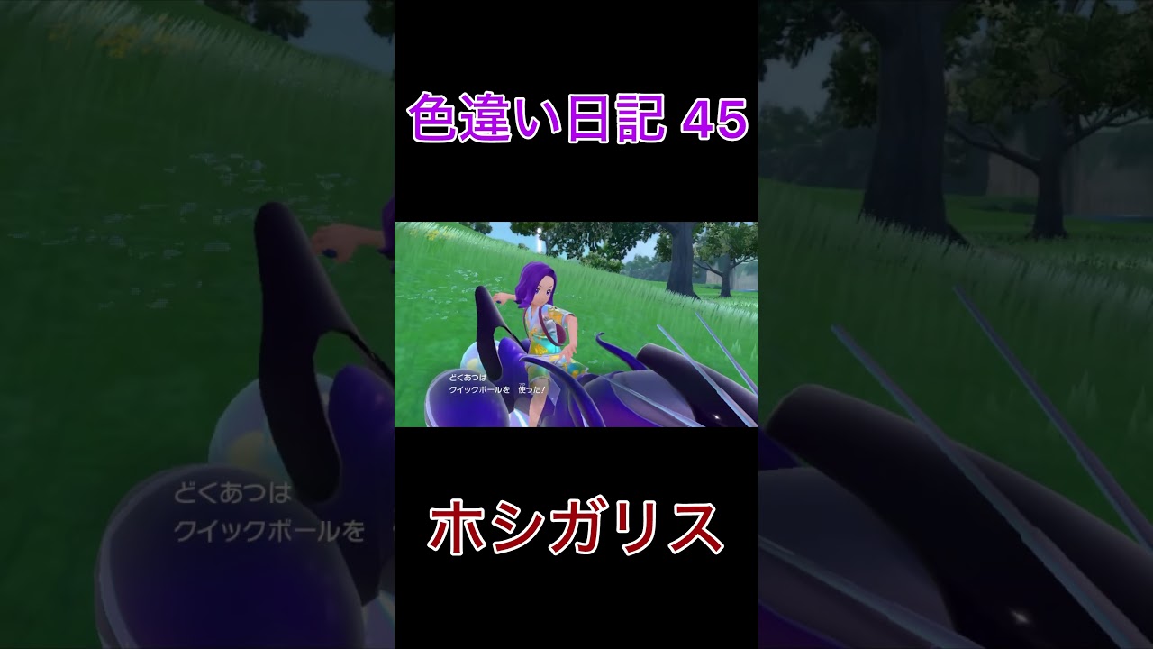 【ポケモンSV】ホシガリス 色違い日記45 #shorts #ポケモン