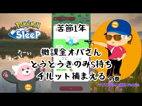 【ポケモンスリープ】こっこおばちゃんの睡眠リサーチ記録 379-381日目