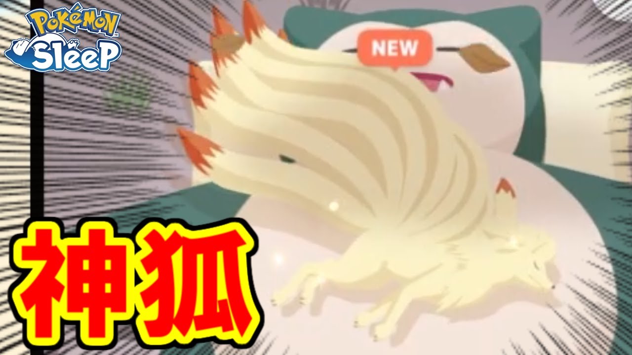 おなかのうえキュウコンあちぃぃぃぃぃ！！！！！【ポケモンスリープ】