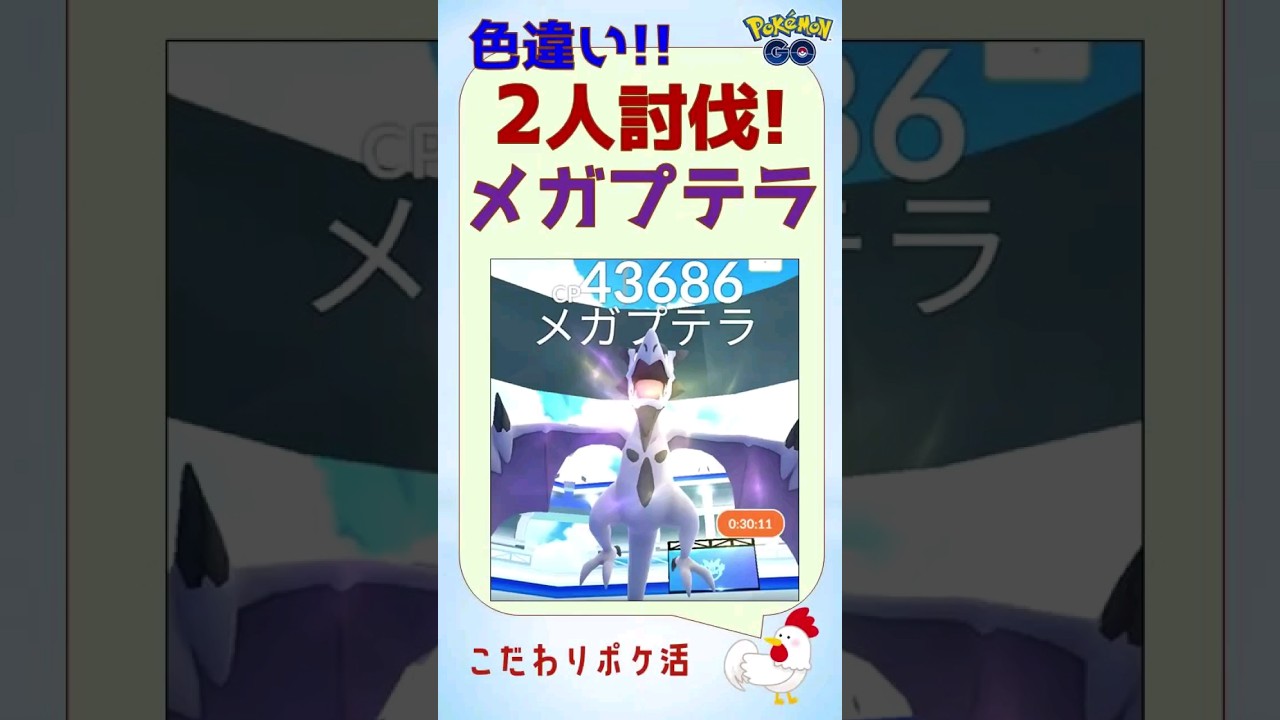 【プテラ、光りました！メガプテラの2人討伐】 #ポケモンgo #レイドバトル #色違い #shinypokemon #プテラ