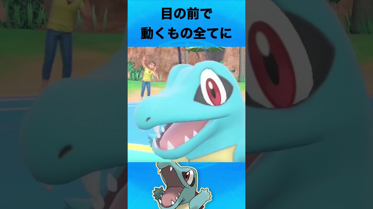 ワニノコについて #ポケモン #ワニノコ #御三家