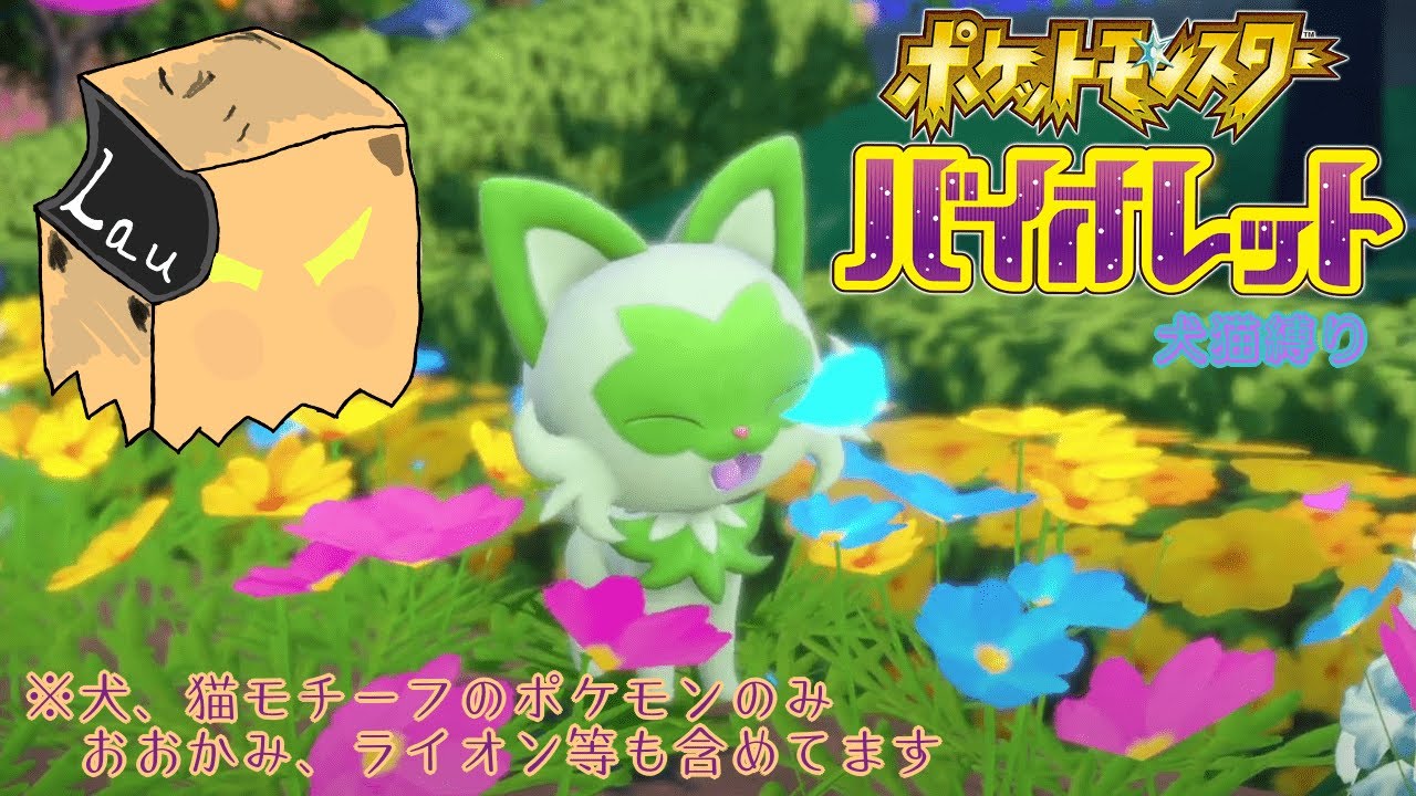 【ポケモンSV】趣味の縛りは何とかなるかもしれない ※犬猫四足縛り