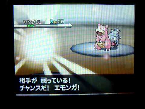 強運エモンガ - ポケモンBW對戰