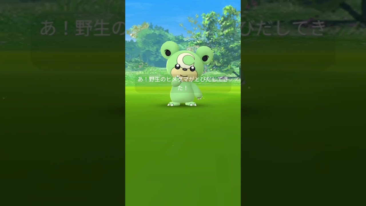 【Pokémon GO】色違いヒメグマ！Shiny Teddiursa✨ #shorts