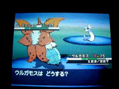 ポケモンＢＷ ミニリュウ、ハクリュウ出現位置