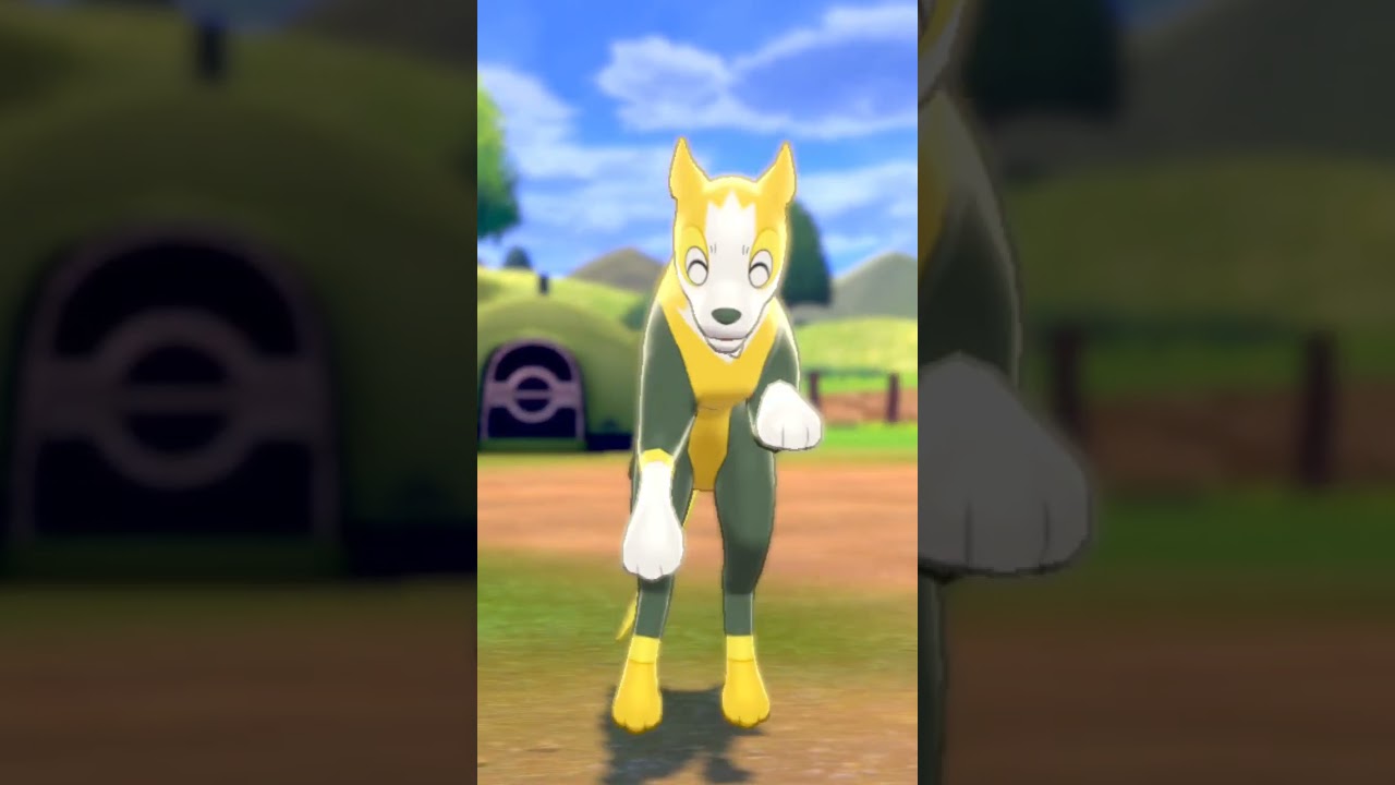 パルスワン Boltund【ポケモン剣盾】