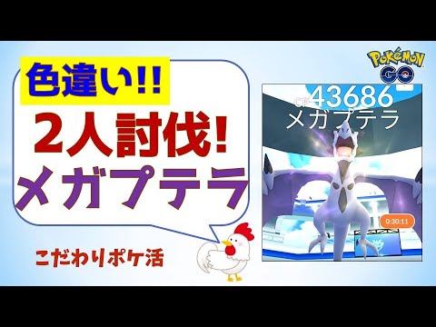 【プテラ色違いゲット！メガプテラの2人討伐】 #ポケモンgo #レイドバトル #色違い #shinypokemon #プテラ