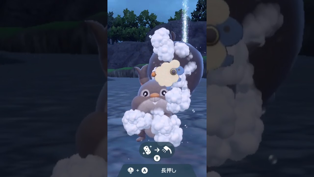 ホシガリス Skwovet【ポケモンsv】