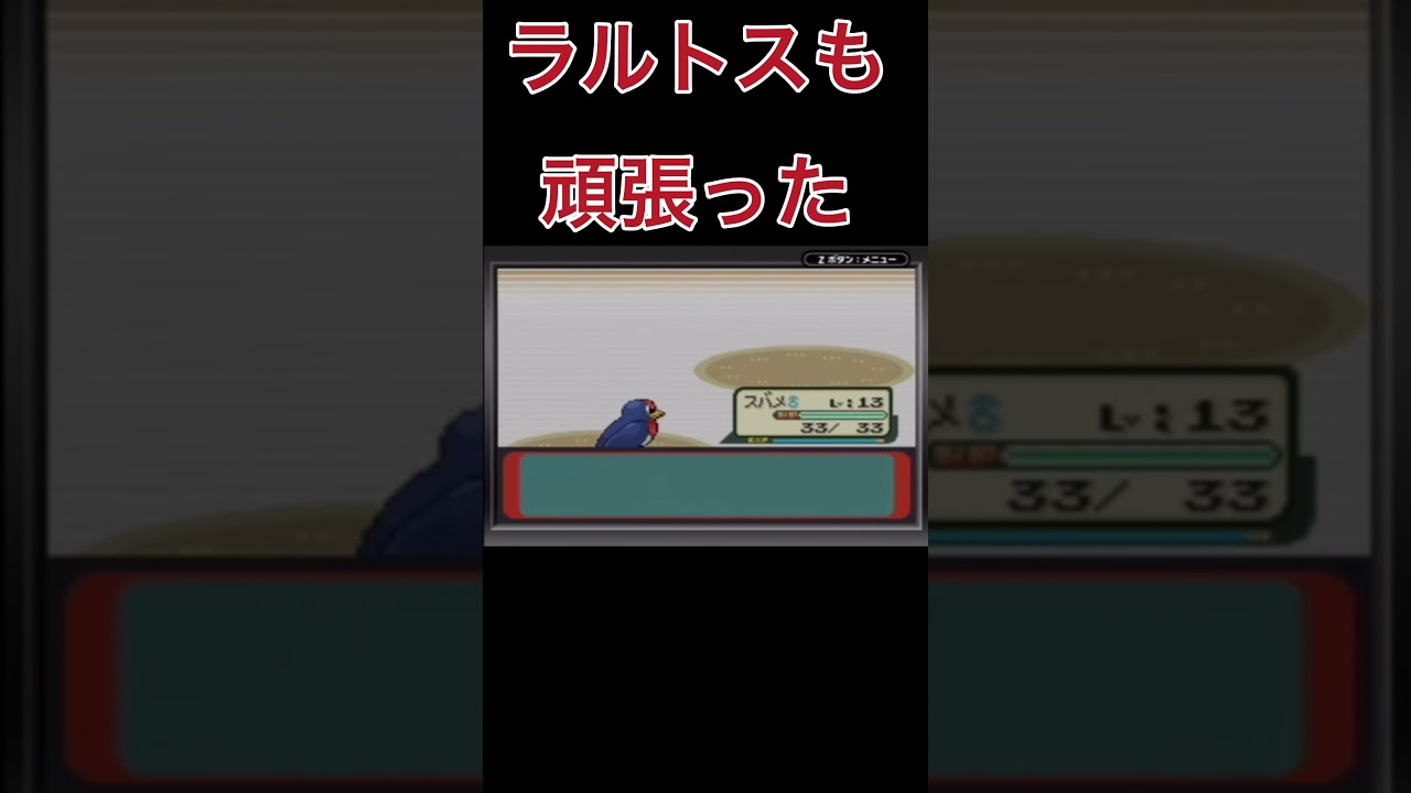 スバメが全てをかっさらって行きました#shorts