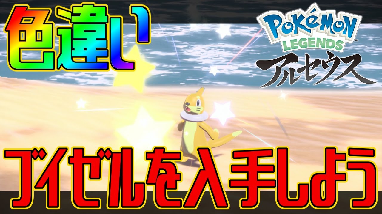 【ポケモンアルセウス】色違いブイゼルを入手しよう ※色違いブイゼル2匹目【Pokémon LEGENDS アルセウス】