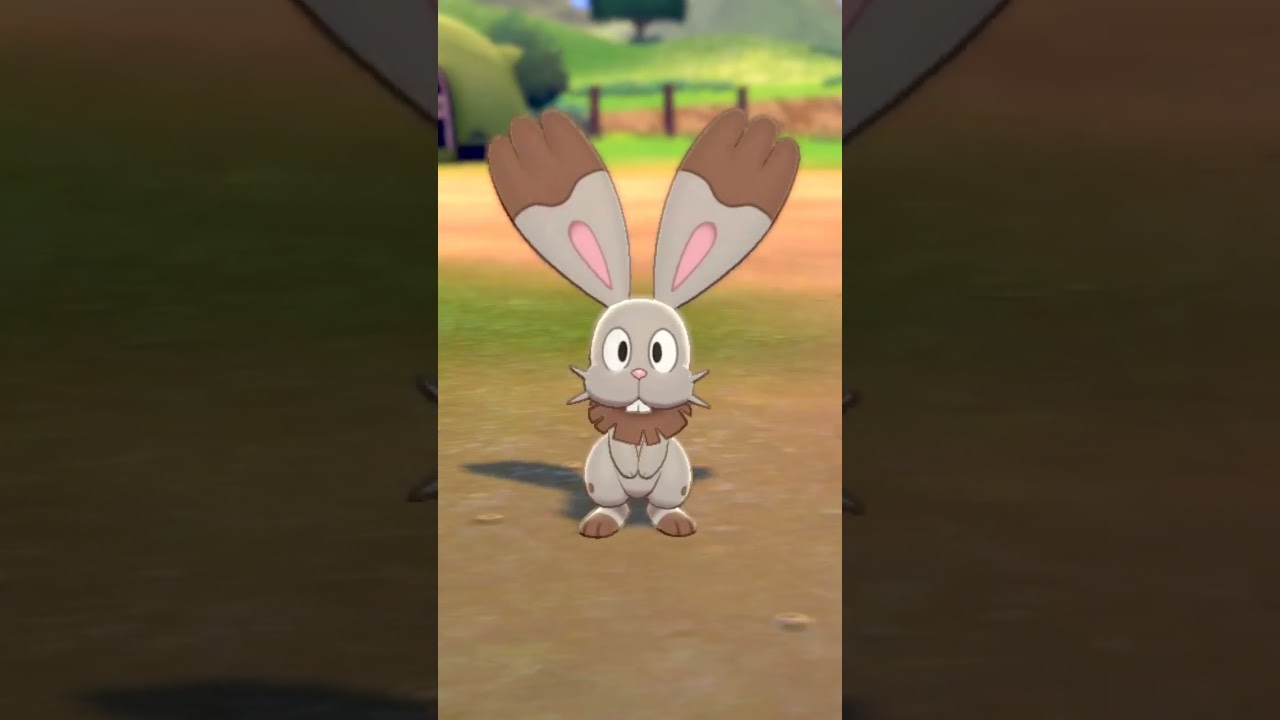 ホルビー Bunnelby【ポケモン剣盾】