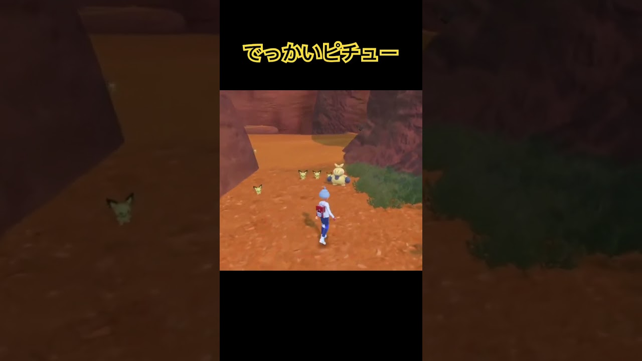 デブチュー。#生配信 #ポケモン #ポケモンsv #pokemon #マクノシタ