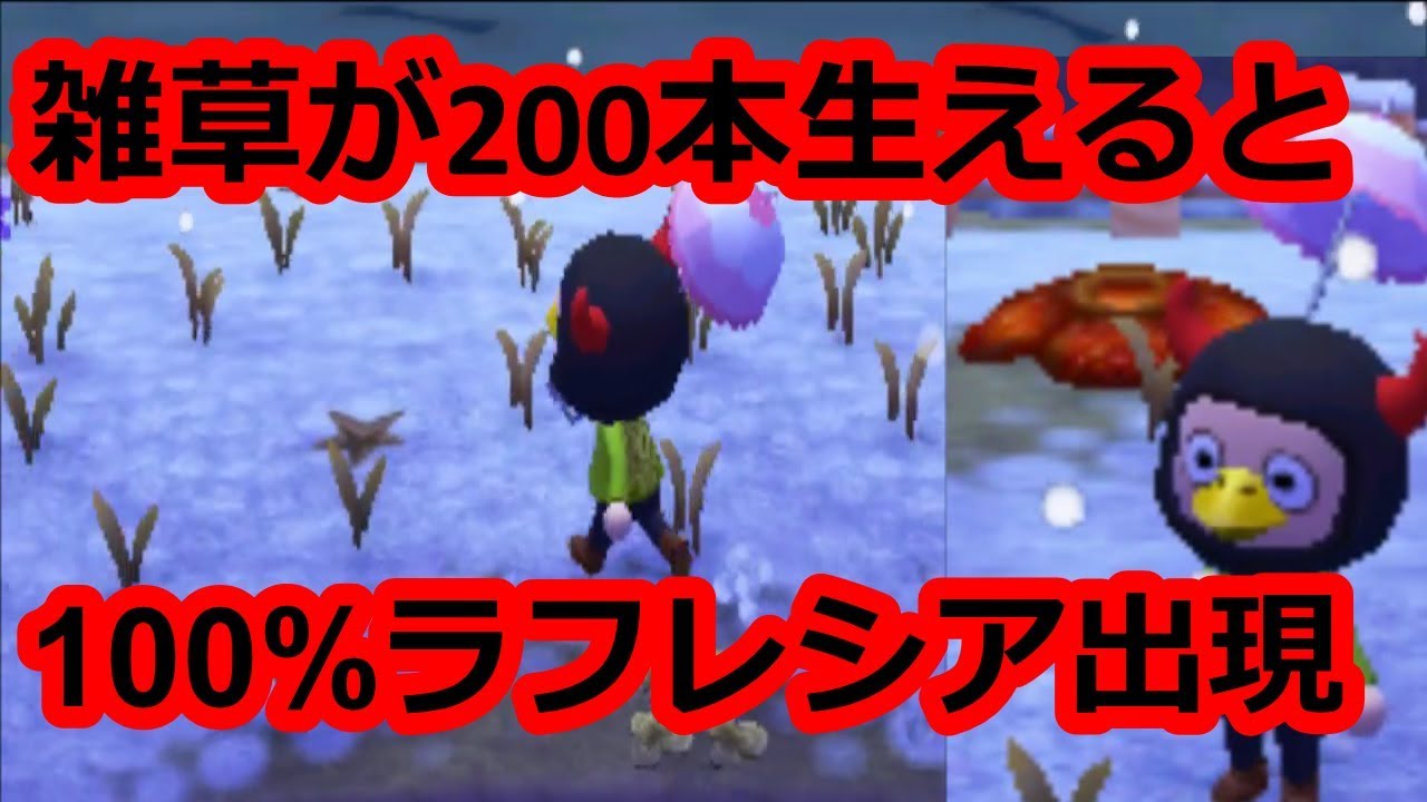 あつまれどうぶつの森　雑草が200本生えるとラフレシア確定バグをやってみた！