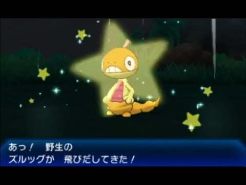 野生のキリキザンを探している最中に色違いズルッグに遭遇した