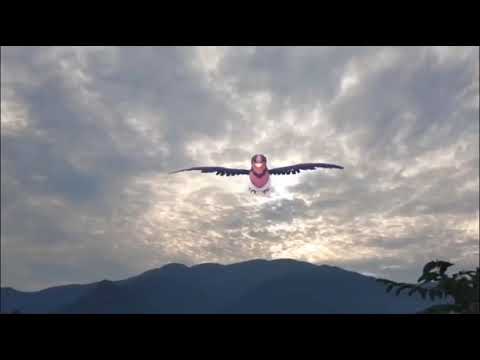 스왈로 ( Swellow ) オオスバメ (大王燕) (16:9)