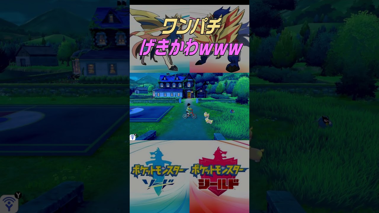 ワンパチかわいすぎだろ・・・ #ポケモン剣盾 #nintendo #Shorts