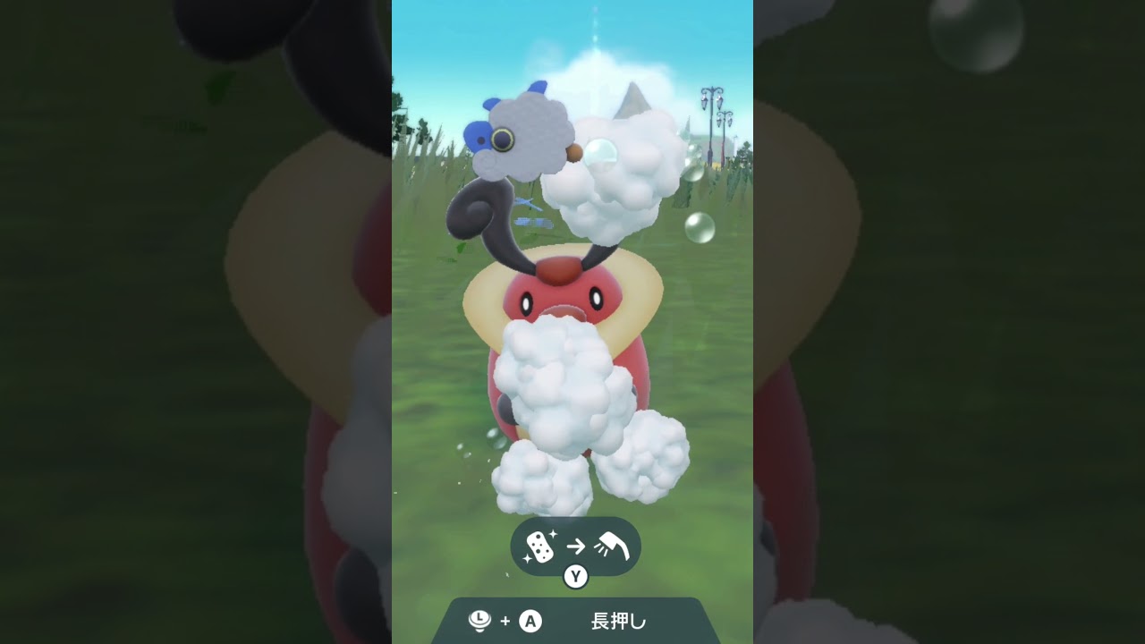 コロボーシを洗うだけの動画 [ ポケモンSV：ポケットモンスター スカーレット・バイオレット ] #shorts