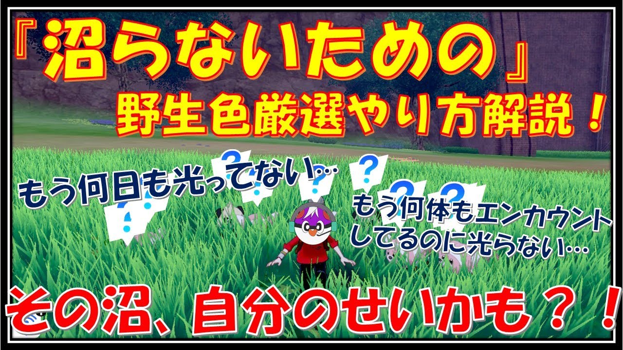 【ゆっくり解説】5分で分かる沼らないための野生色違い厳選のやり方【ポケモン剣盾】