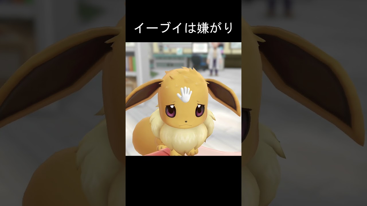 イーブイの鼻に触ると、、 #レッツゴーイーブイ #イーブイ #ポケモン