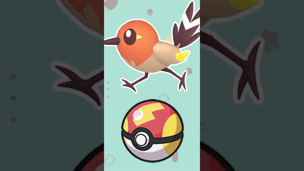 【オシャボ】色違いヤヤコマみんなは何ボールに入れる？#shorts #ポケモンsv #ポケモンsv色違い   #pokémon