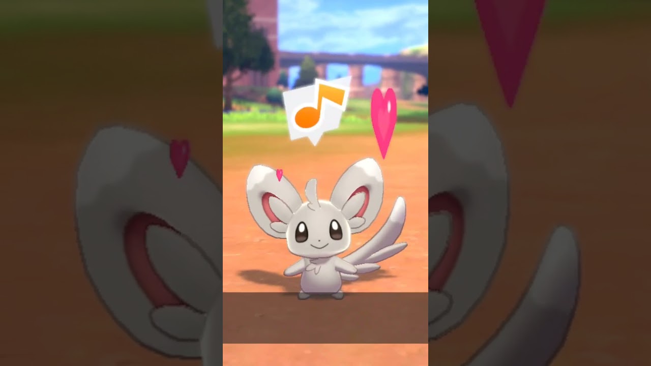 チラーミィ Minccino【ポケモン剣盾】