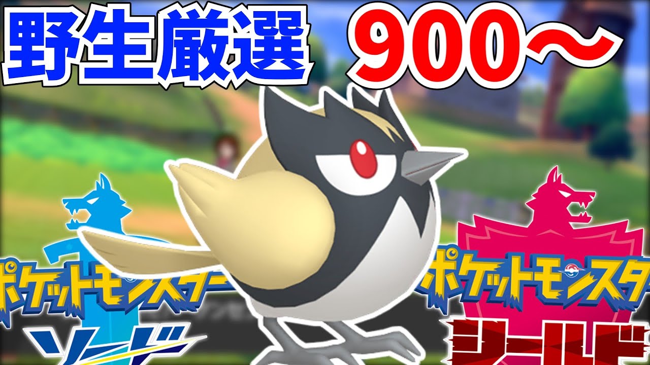 【色違い旅！】ココガラ厳選まさかのカンスト！？超沼沼の色違い旅！#ポケモン剣盾 #shorts  #ポケモン