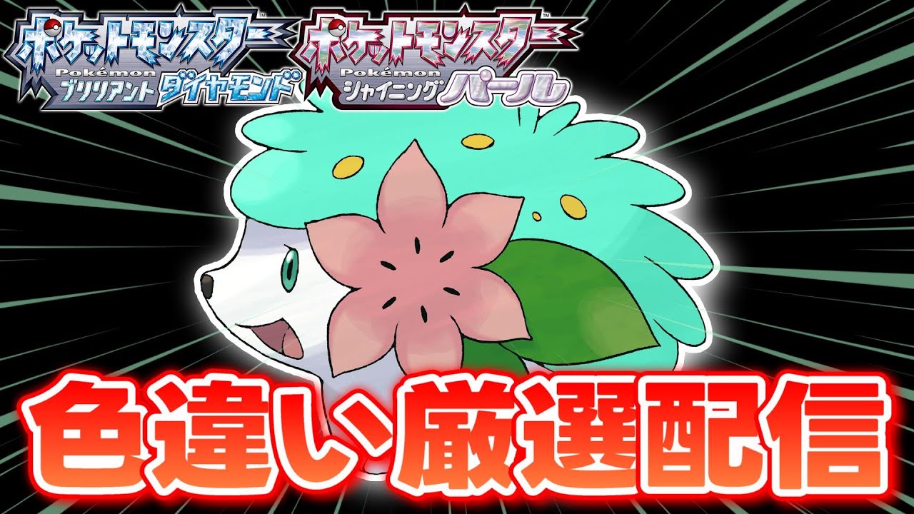 【ポケモンBDSP】色違いのシェイミと徘徊エンテイ、ライコウを求めて！2【生配信】