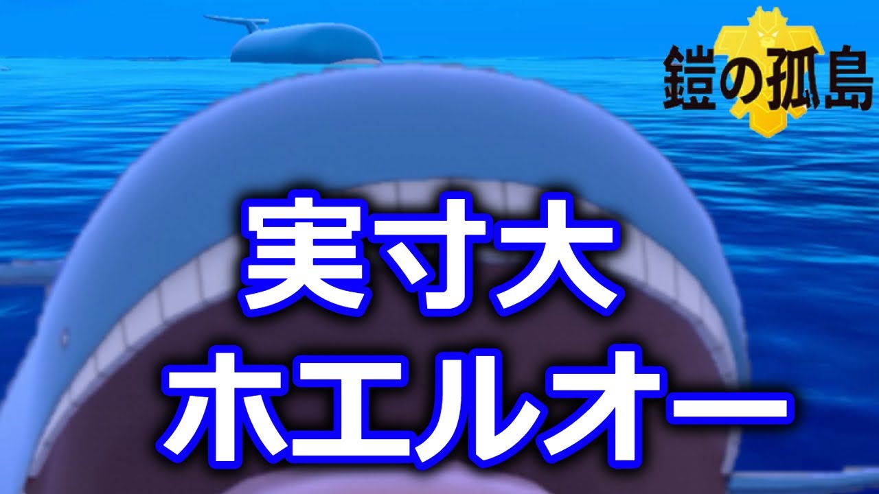 やっぱりデカい！実寸大ホエルオー！連れ歩きも【鎧の孤島】【ポケモンソードシールド】