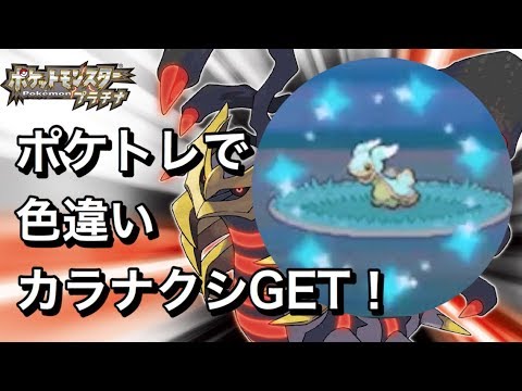 【ポケトレ】東カラナクシ色違い3匹ゲット！プラチナ shiny Shellos