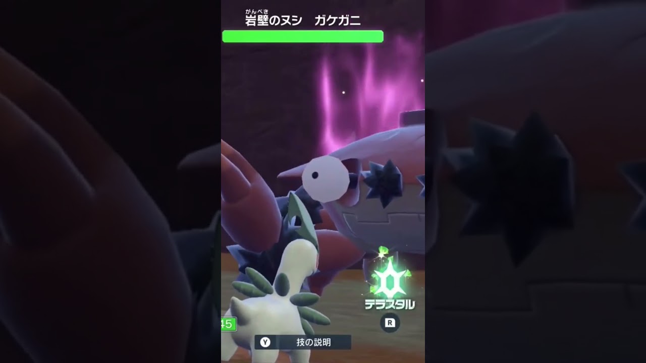 ベイリーフVSガケガニ
