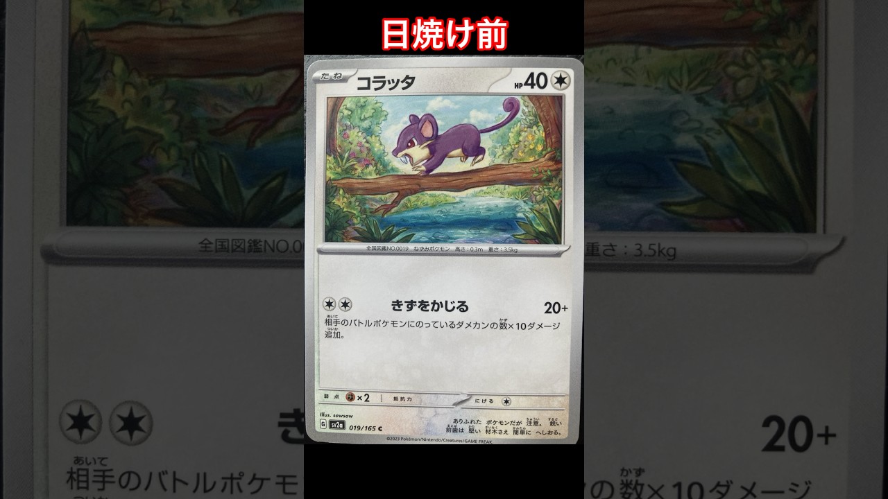 コラッタの日焼けポケカ