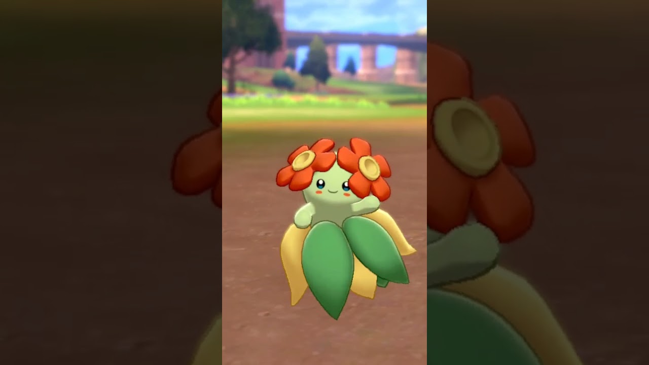 キレイハナ Bellossom【ポケモン剣盾】